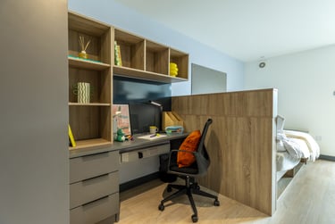 Classic Studio - Image 6